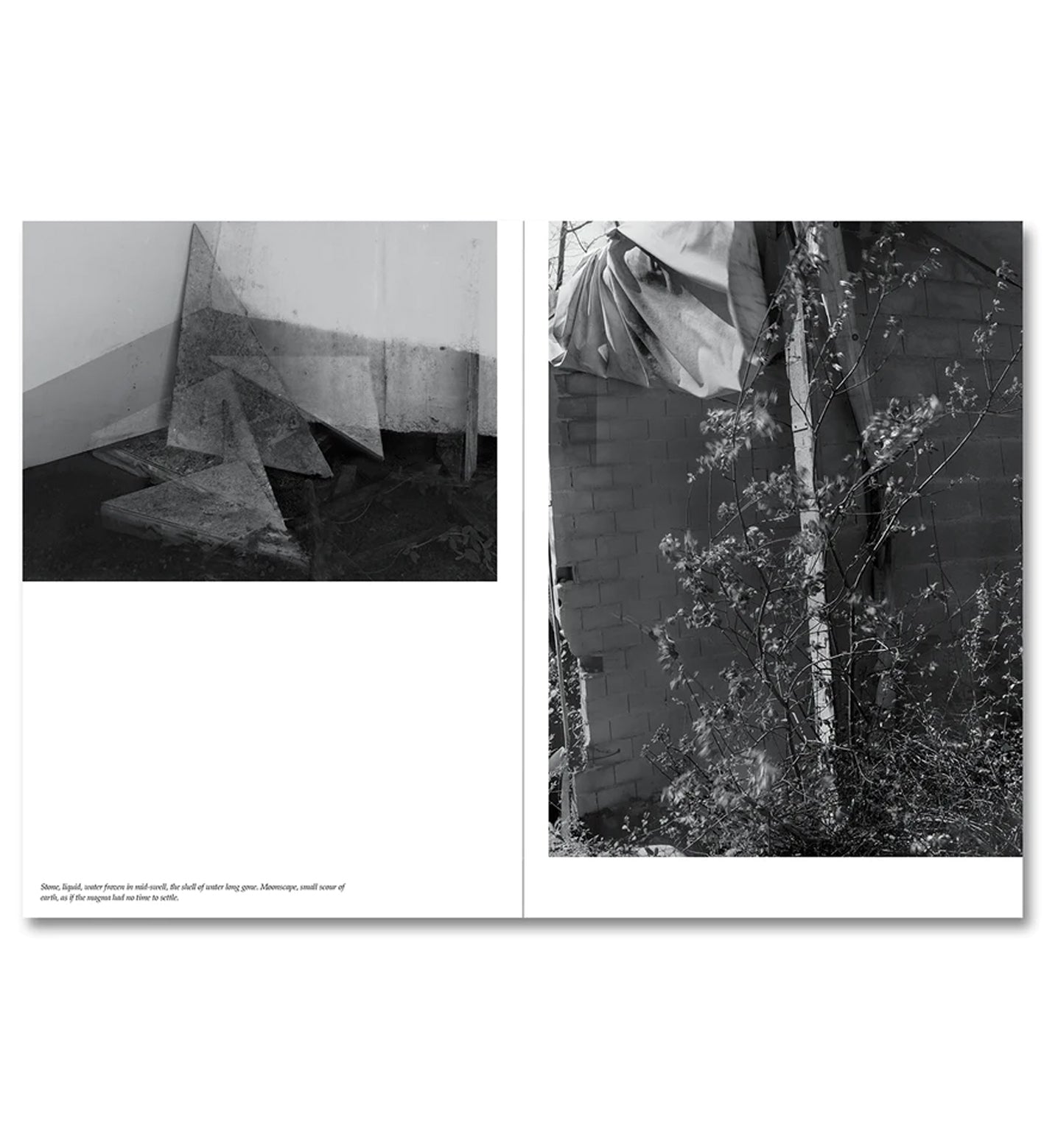 Raymond Meeks/George Weld: The Inhabitants (signed)