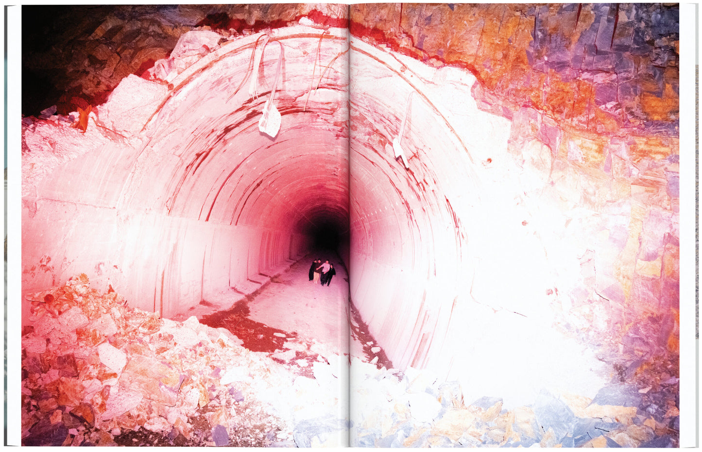 Aperture No.256 - Fall 2024 Arrhythmic Mythic Ra
