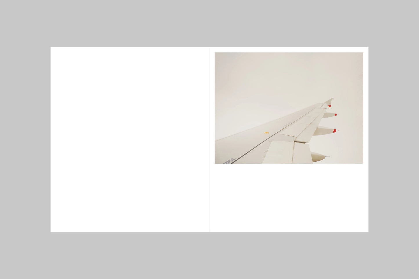 JAN LEHNER — YIELD