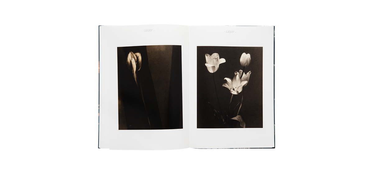 Steichen, Edward: A Life in Nature