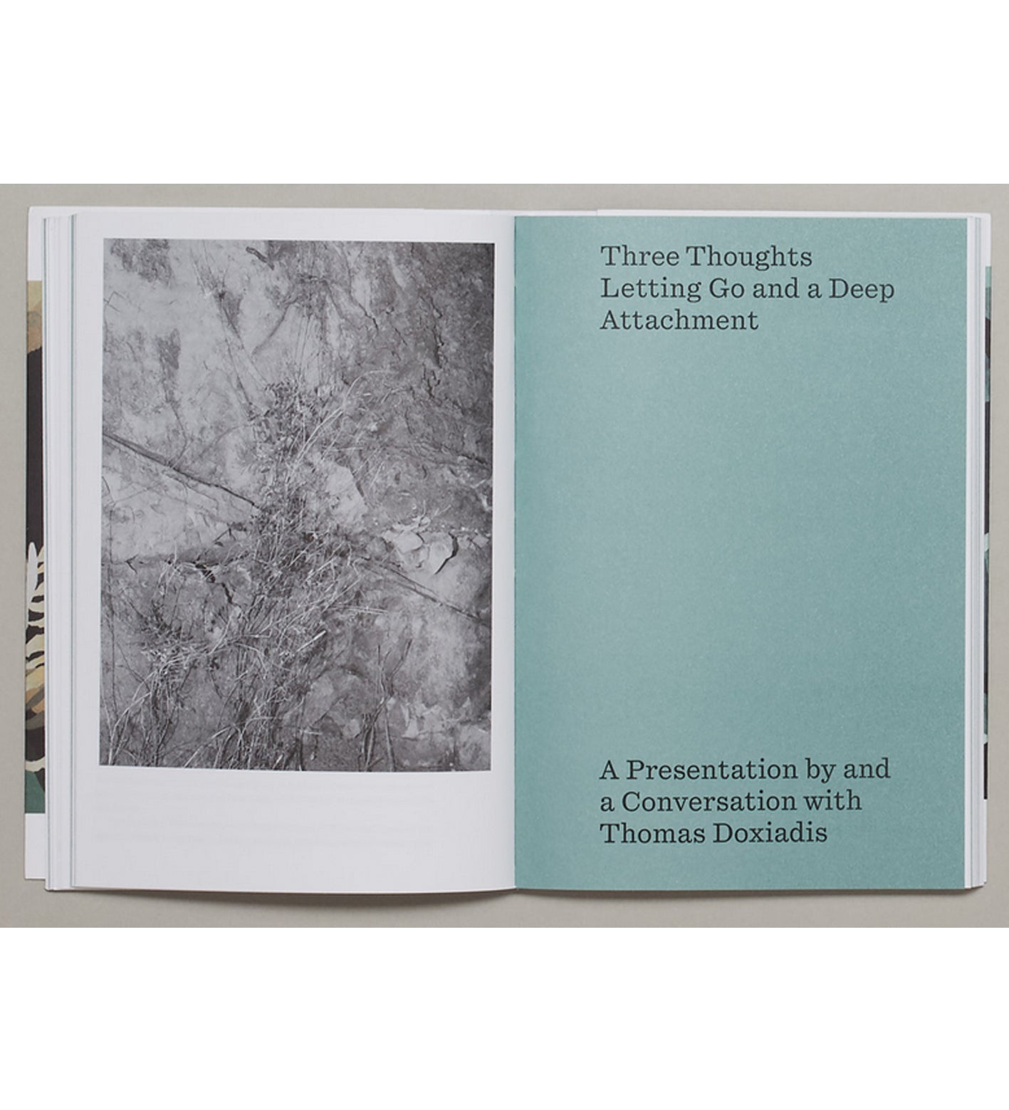 Landscape as Protagonist