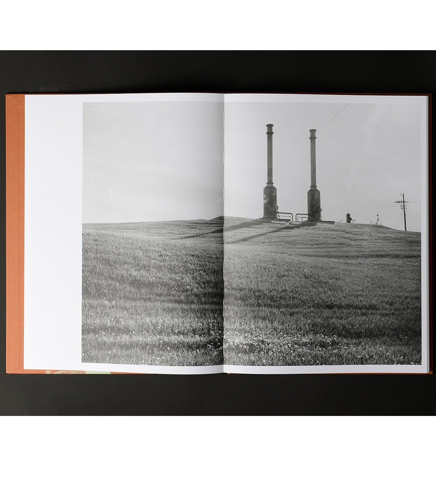 Adrianna Ault: Levee