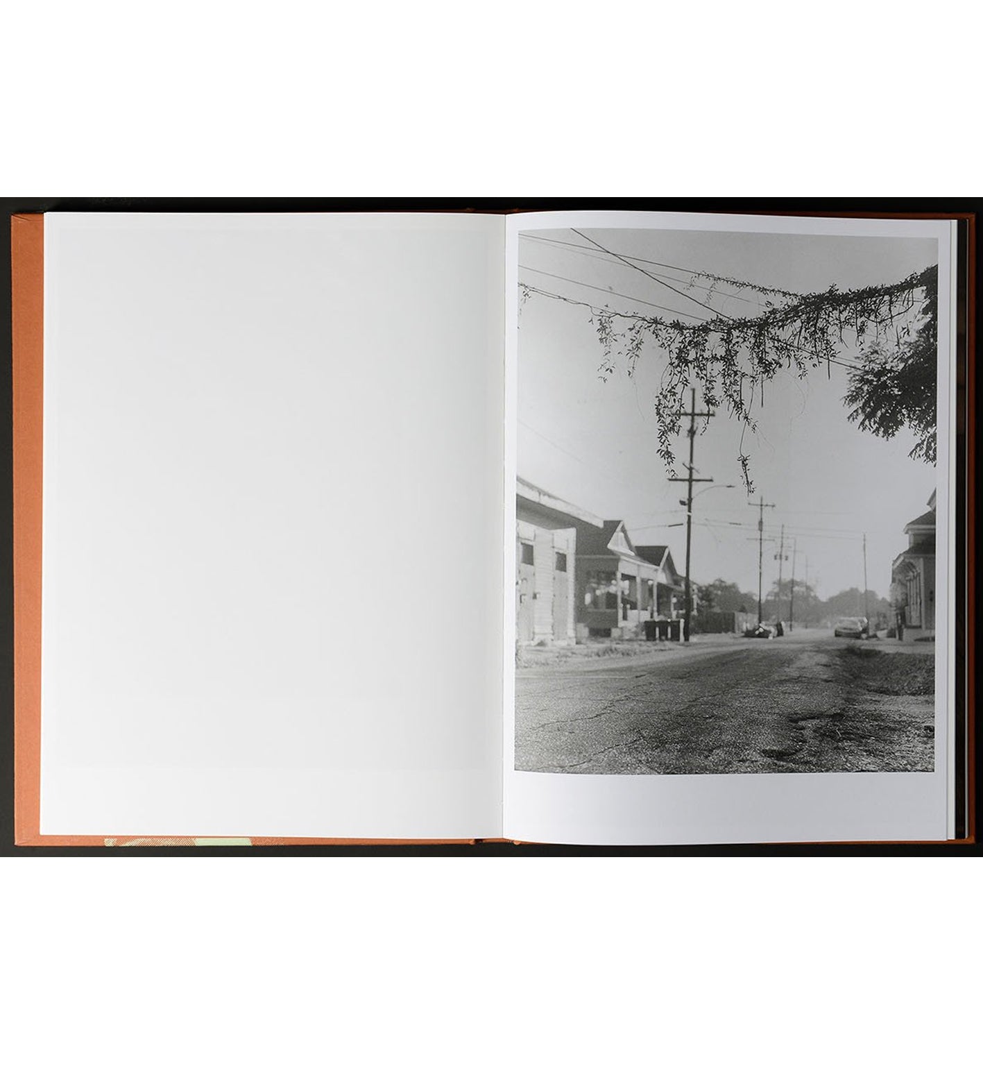 Adrianna Ault: Levee