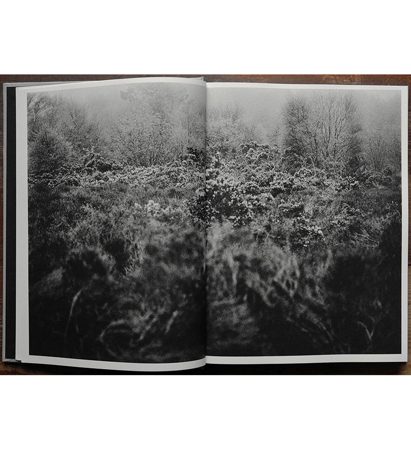 Kim Thue: Lode (signed)