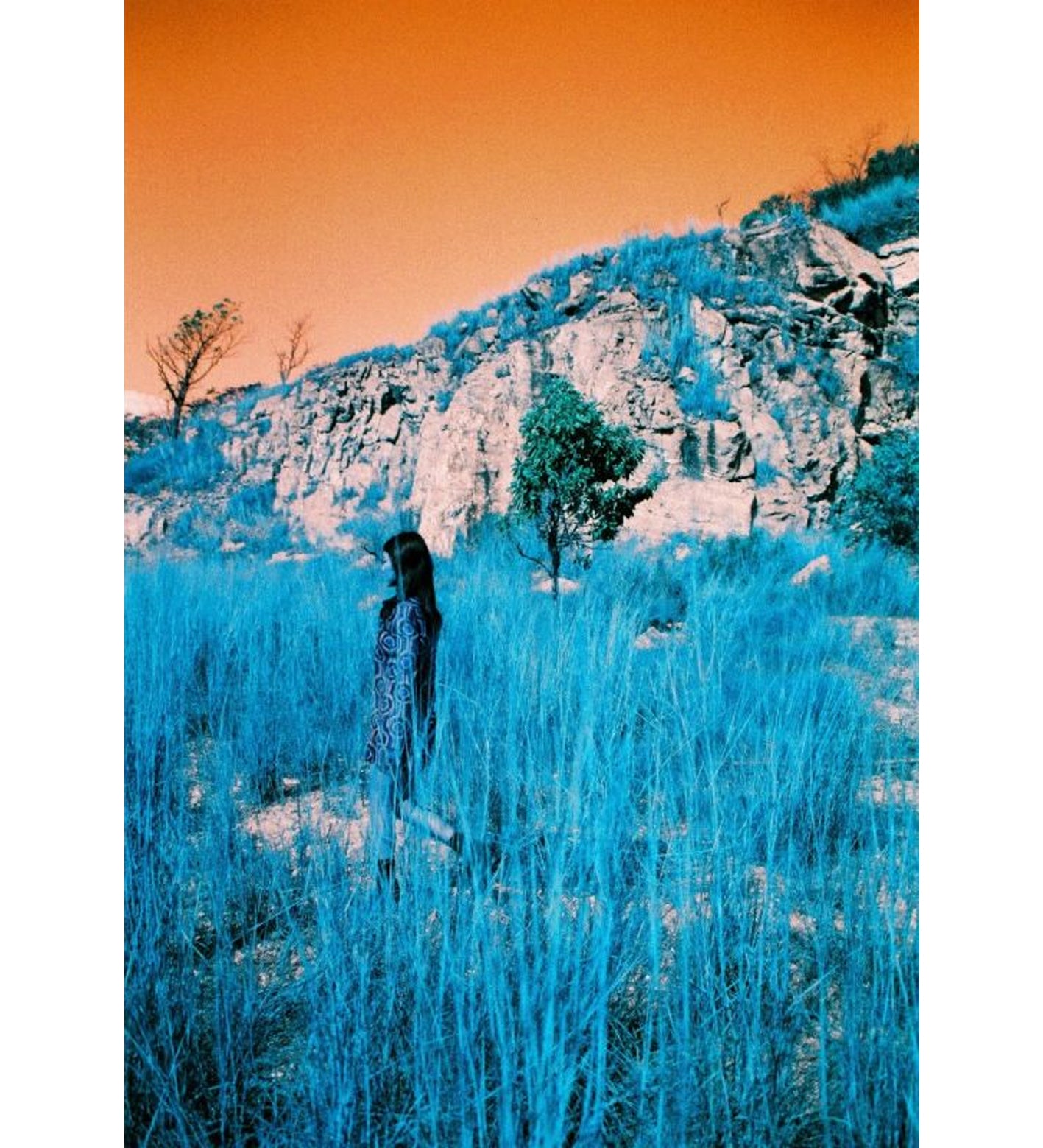 LomoChrome Turquoise 100-400 35mm Film 36 Exposures