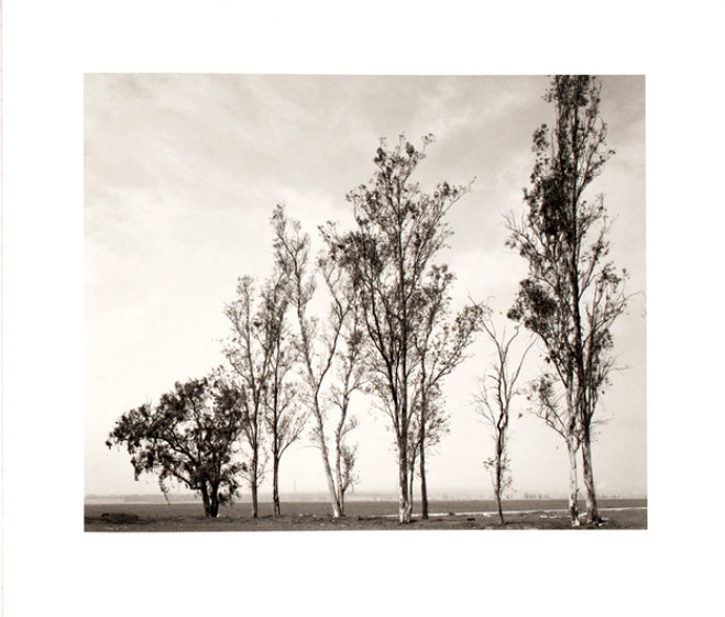 Robert Adams: Los Angeles Spring
