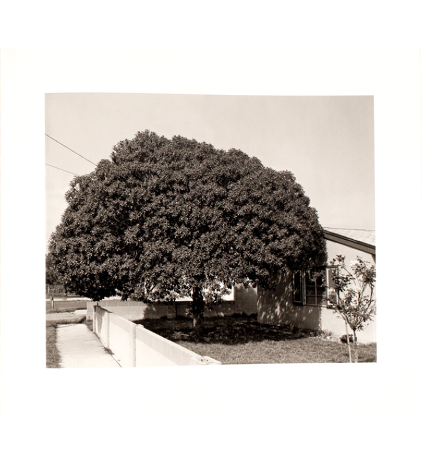 Robert Adams: Los Angeles Spring