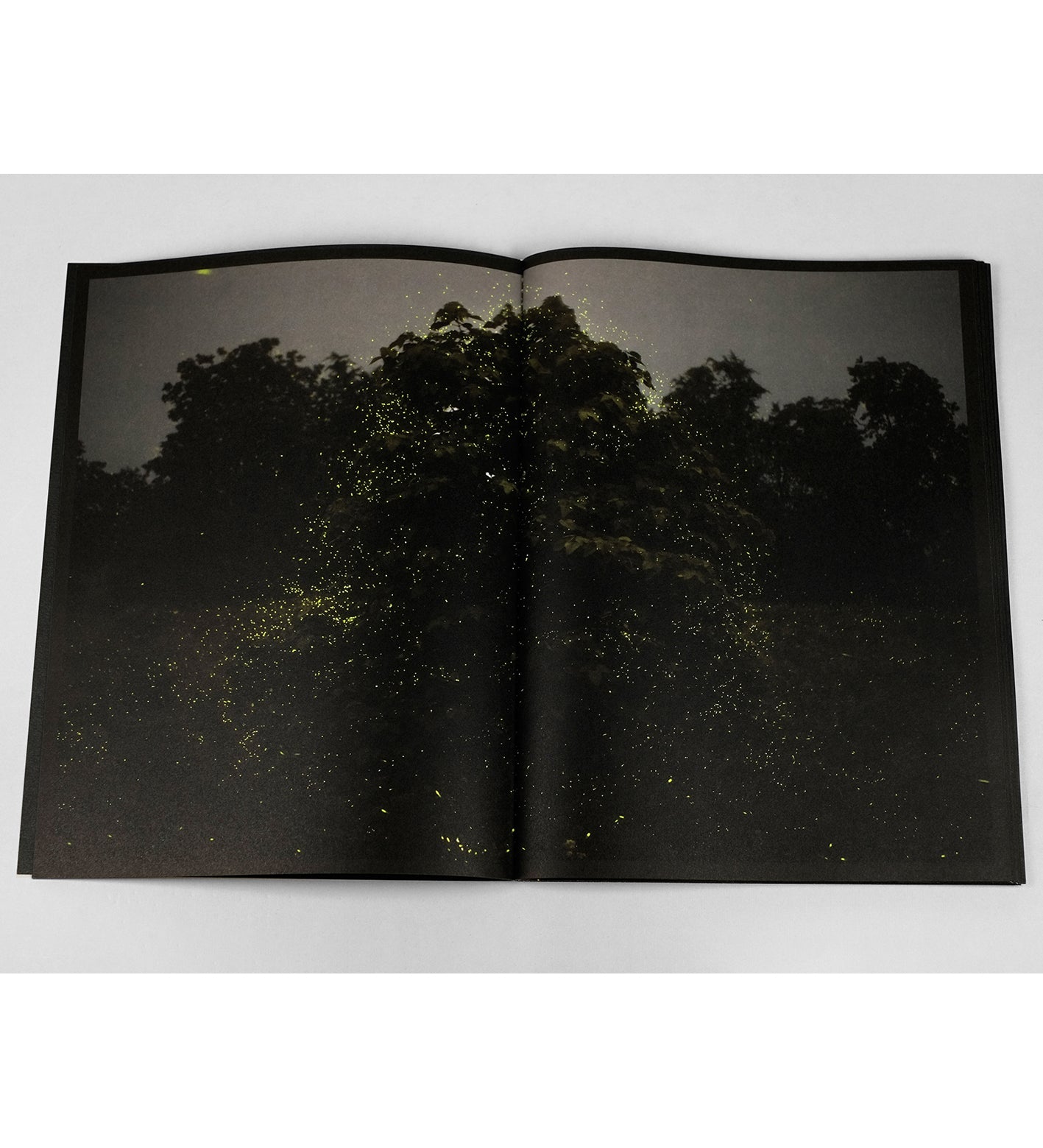 Samuel James: Nightairs