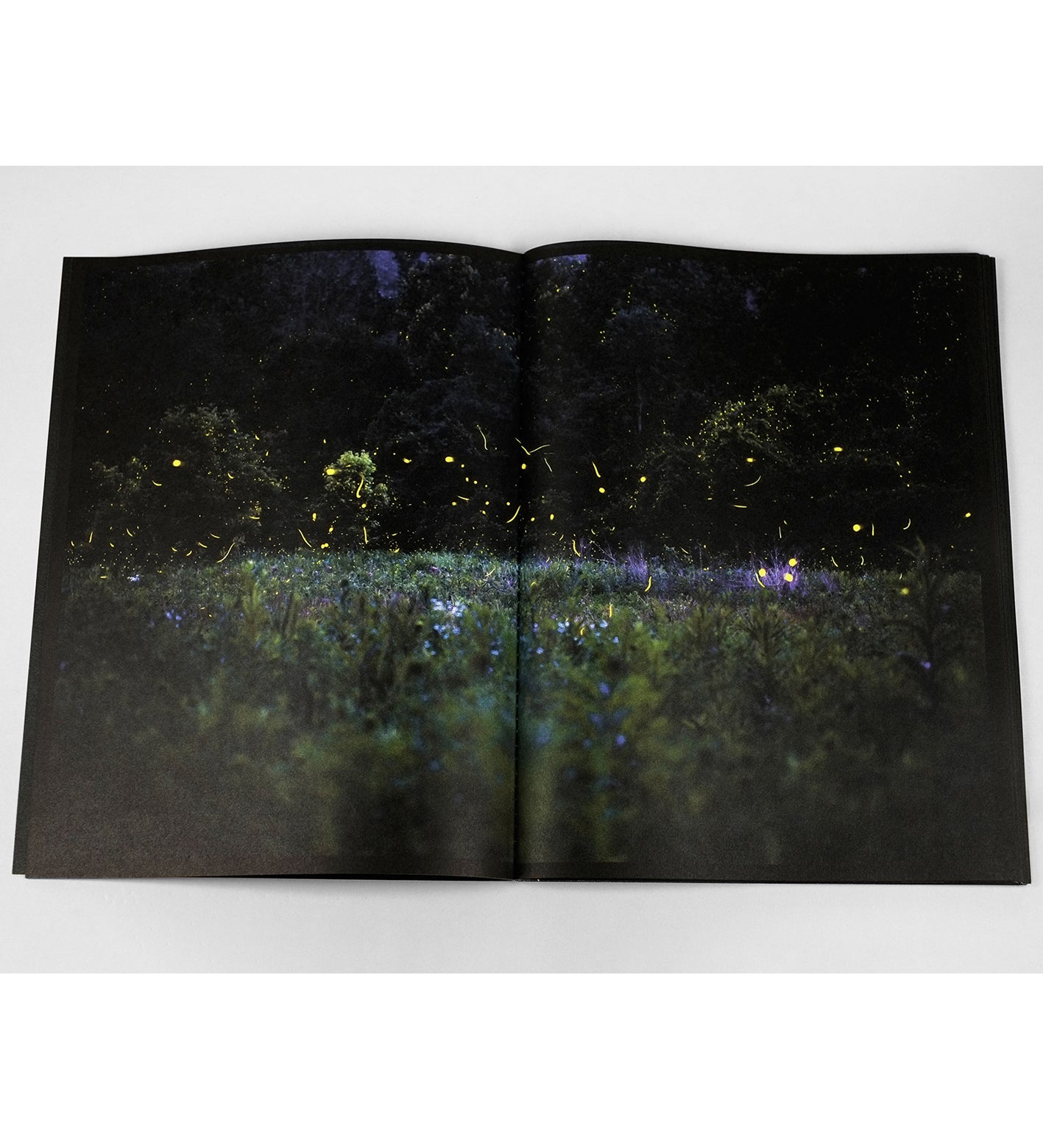 Samuel James: Nightairs