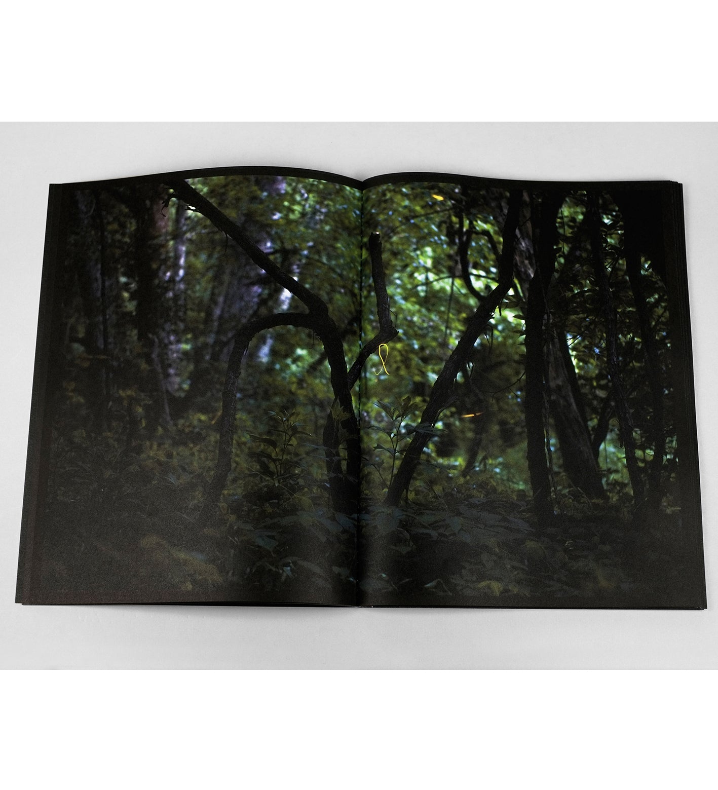 Samuel James: Nightairs