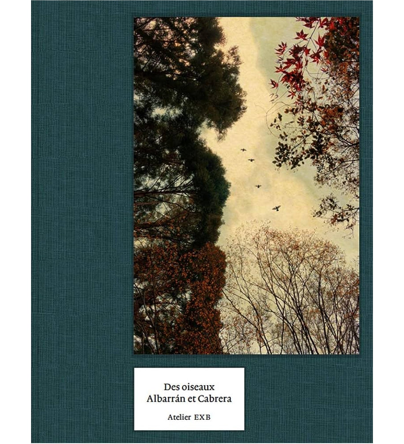 Albarrán Cabrera: Des Oiseaux