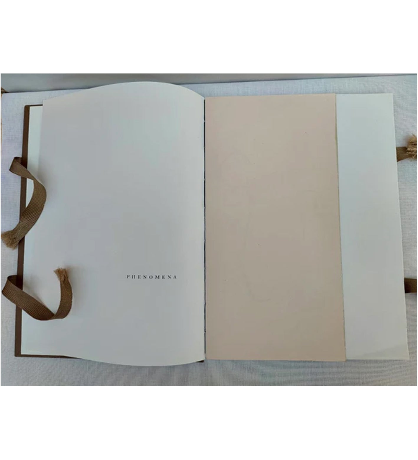 Morganna Magee: Phenomena (signed & numbered)