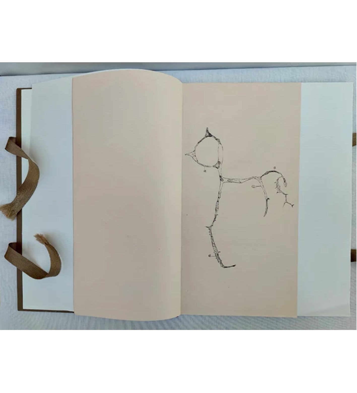 Morganna Magee: Phenomena (signed & numbered)