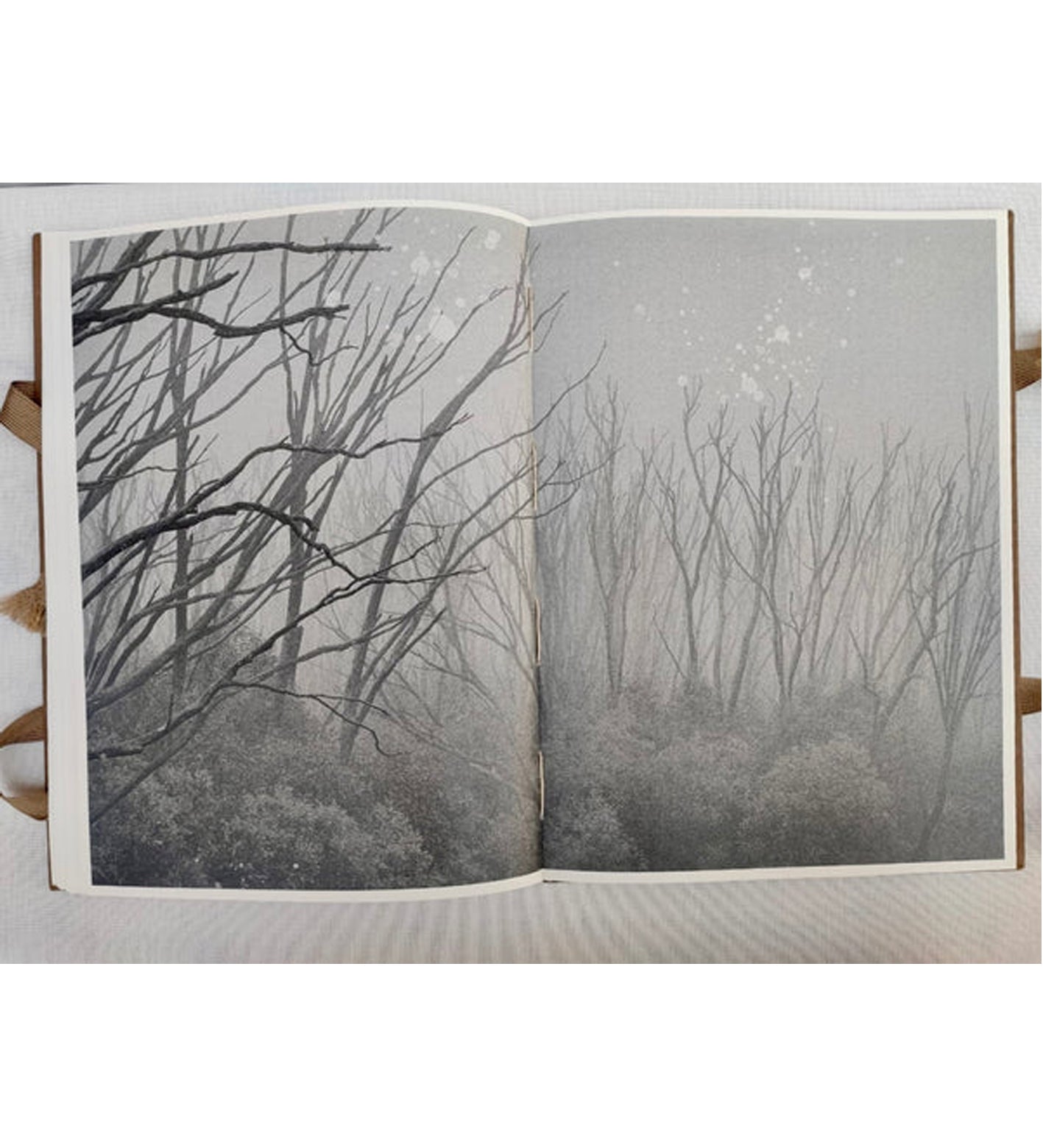 Morganna Magee: Phenomena (signed & numbered)