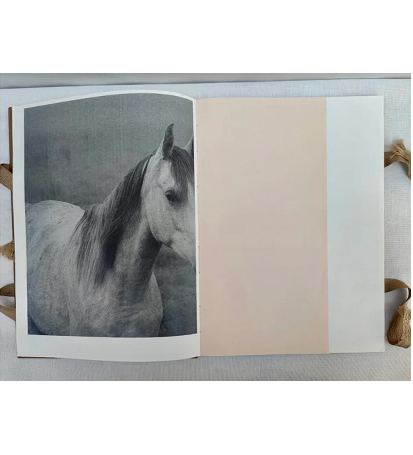 Morganna Magee: Phenomena (signed & numbered)