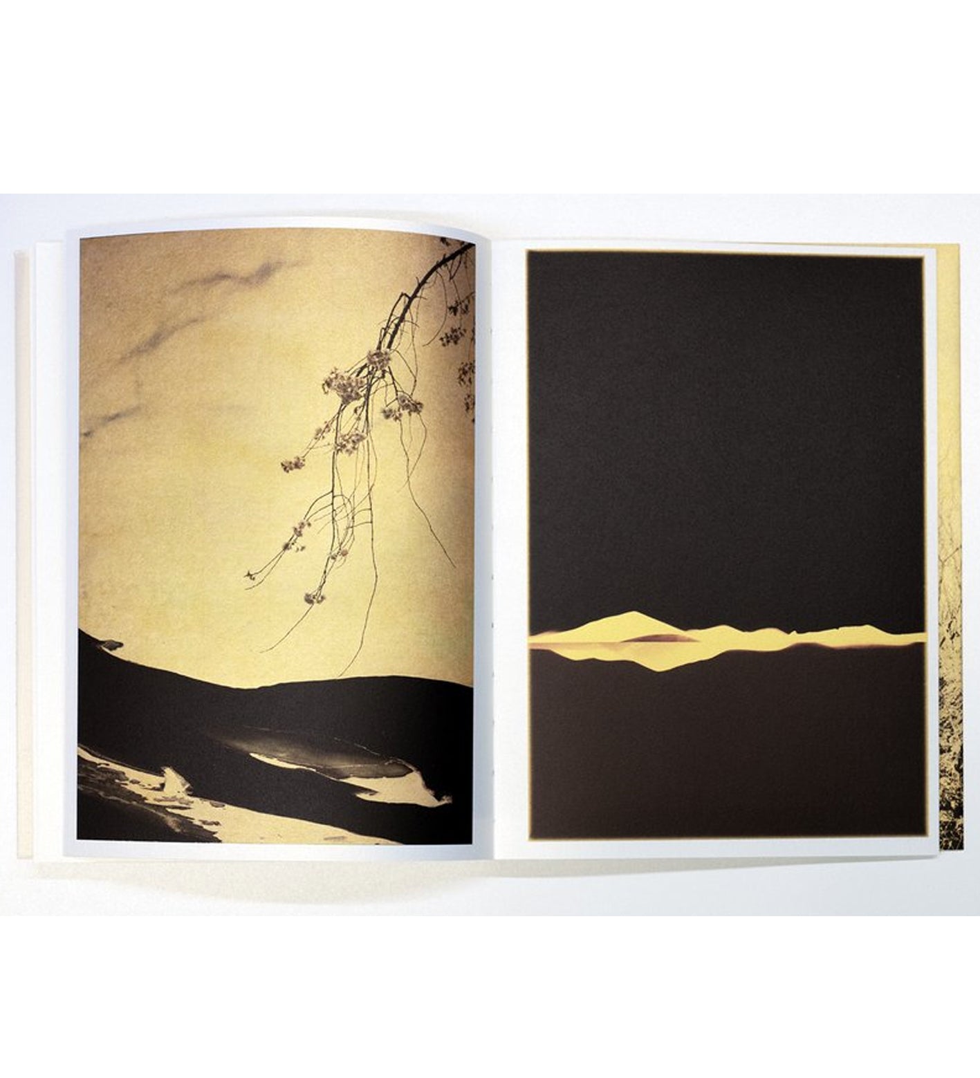 Albarrán Cabrera: Photographic Syntax (2nd edition)