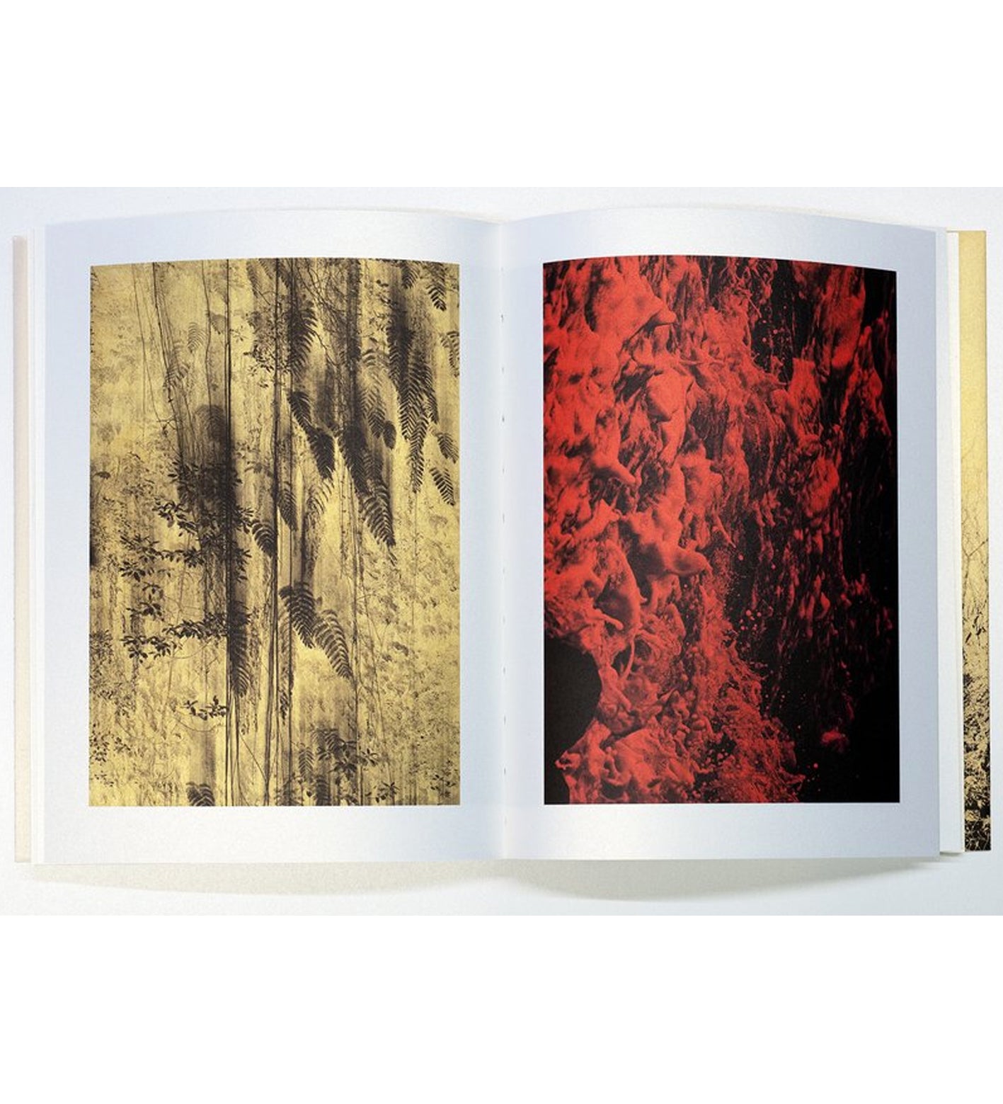 Albarrán Cabrera: Photographic Syntax (2nd edition)