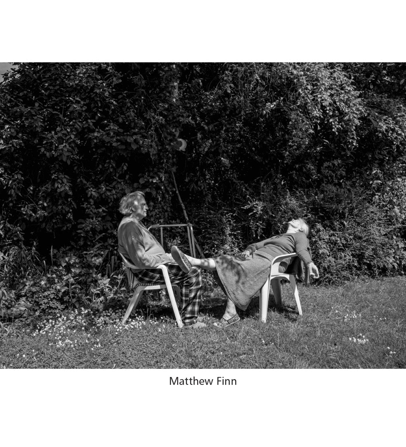 Pictures from the Garden (signed by four of the artists)