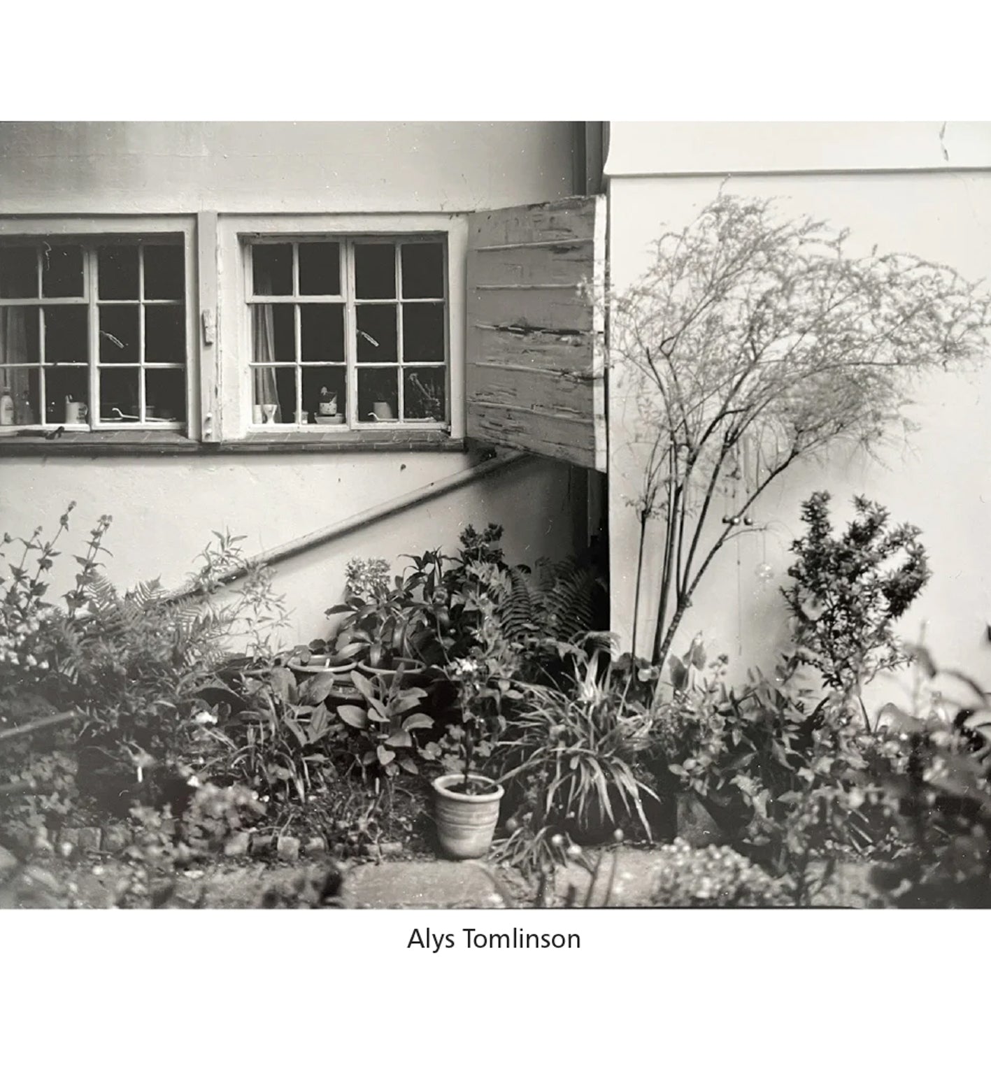 Pictures from the Garden (signed by four of the artists)