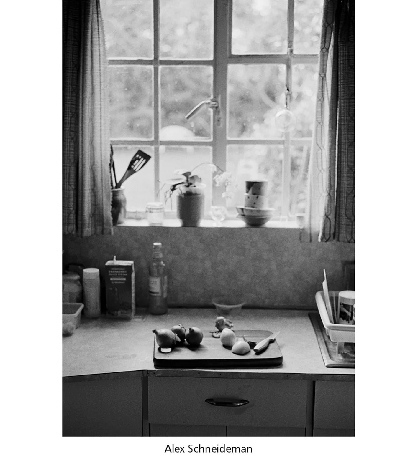 Pictures from the Garden (signed by four of the artists)