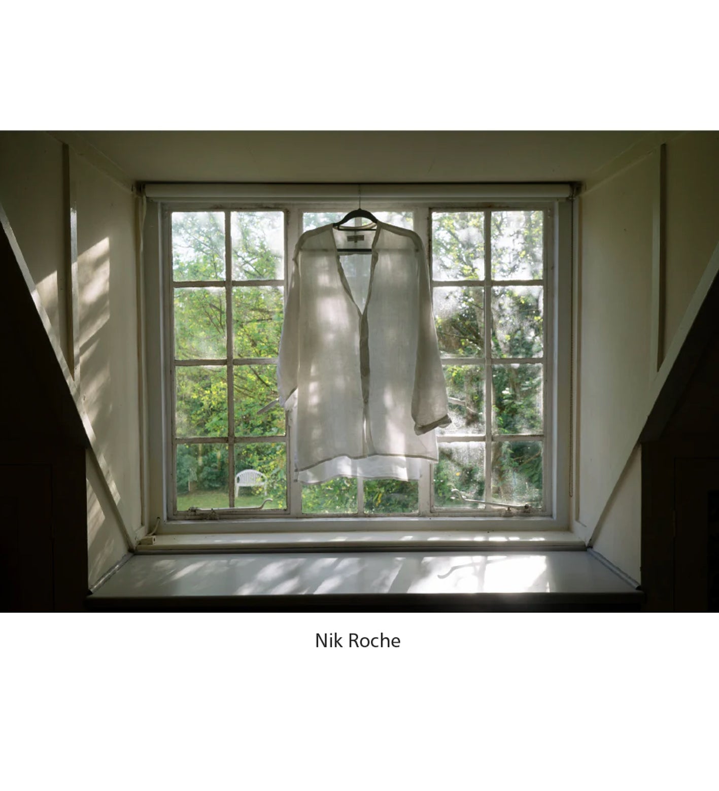 Pictures from the Garden