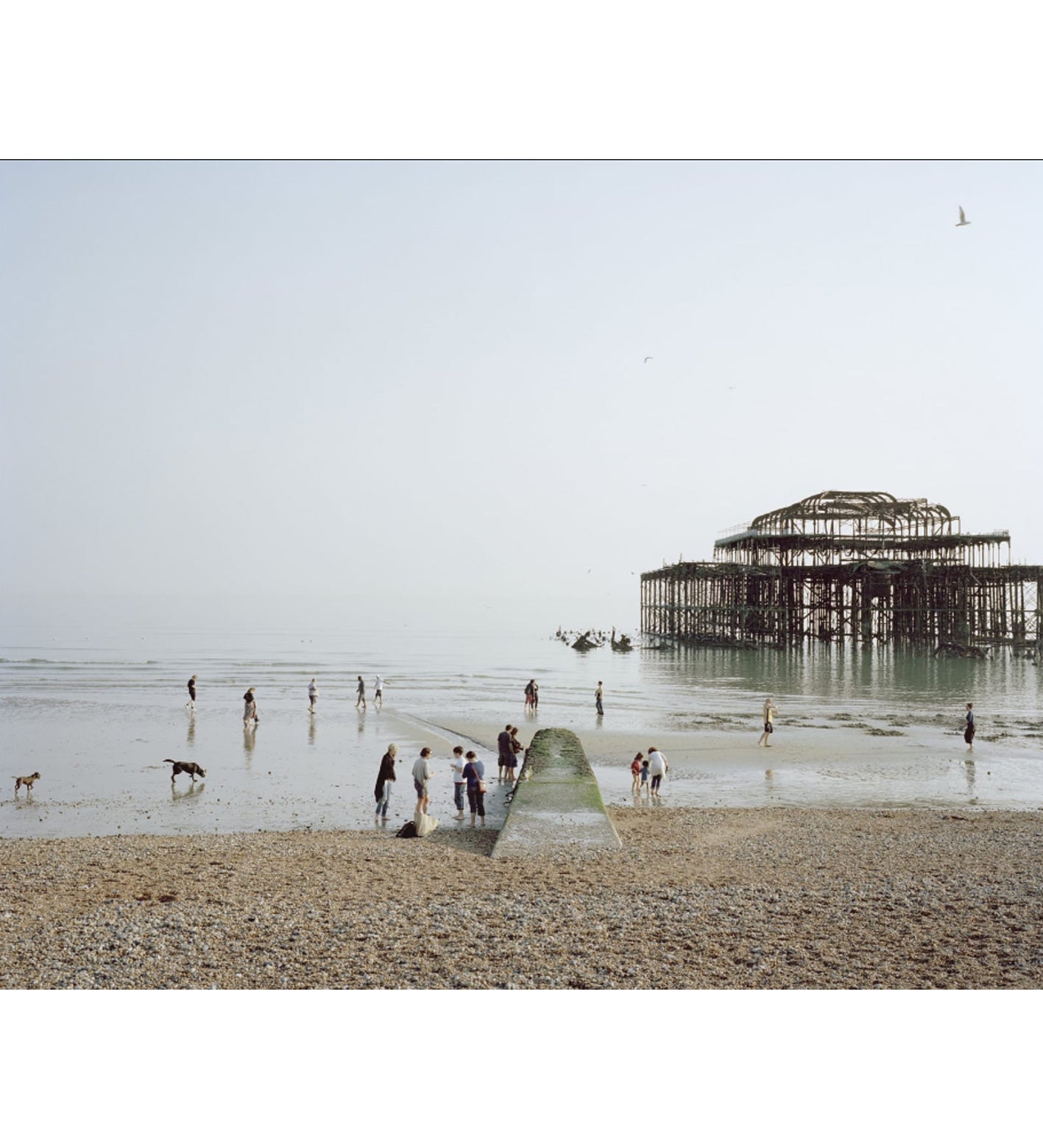 Simon Roberts: Pierdom (signed)