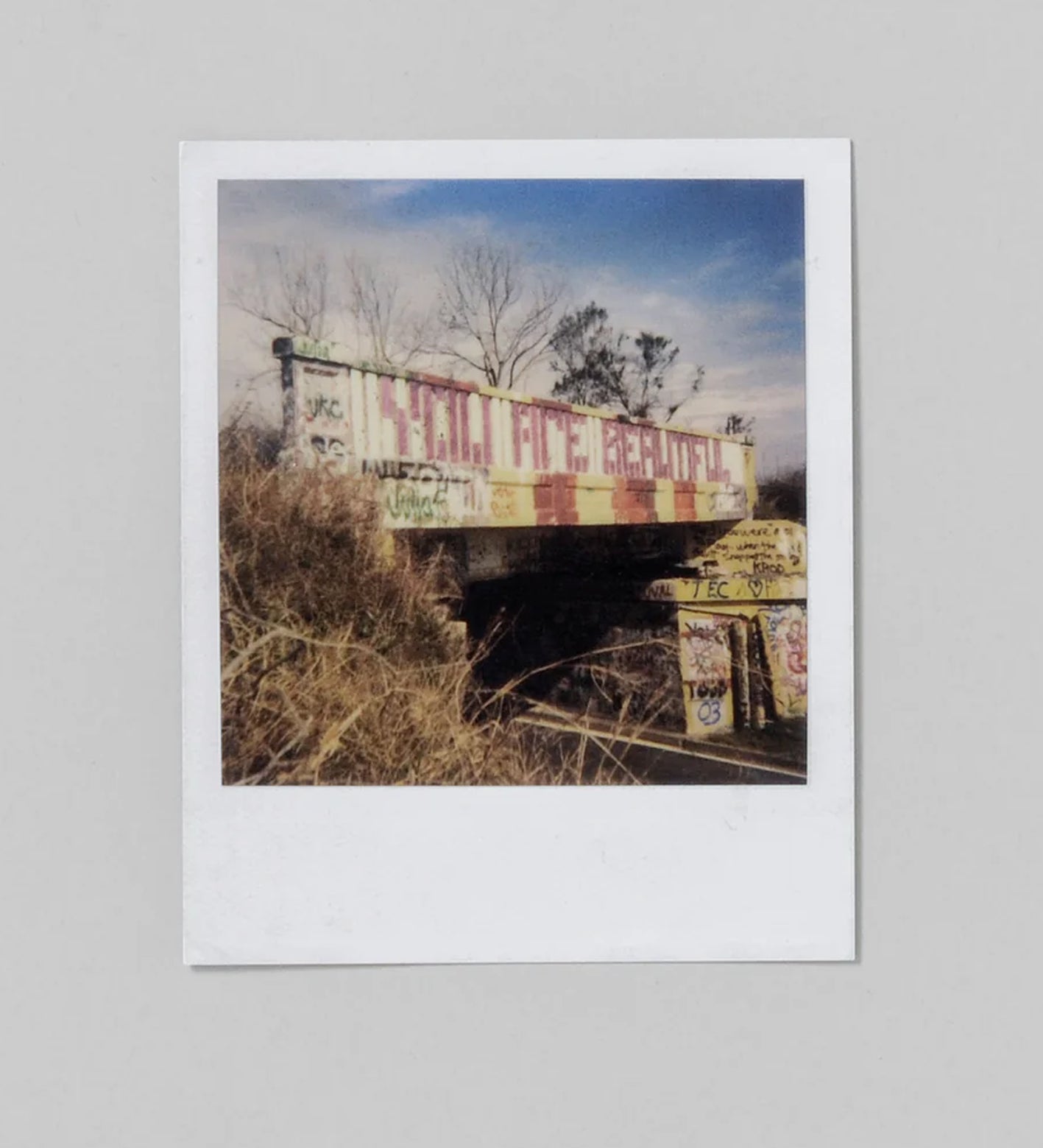 Mike Brodie: Polaroid Kid (signed)