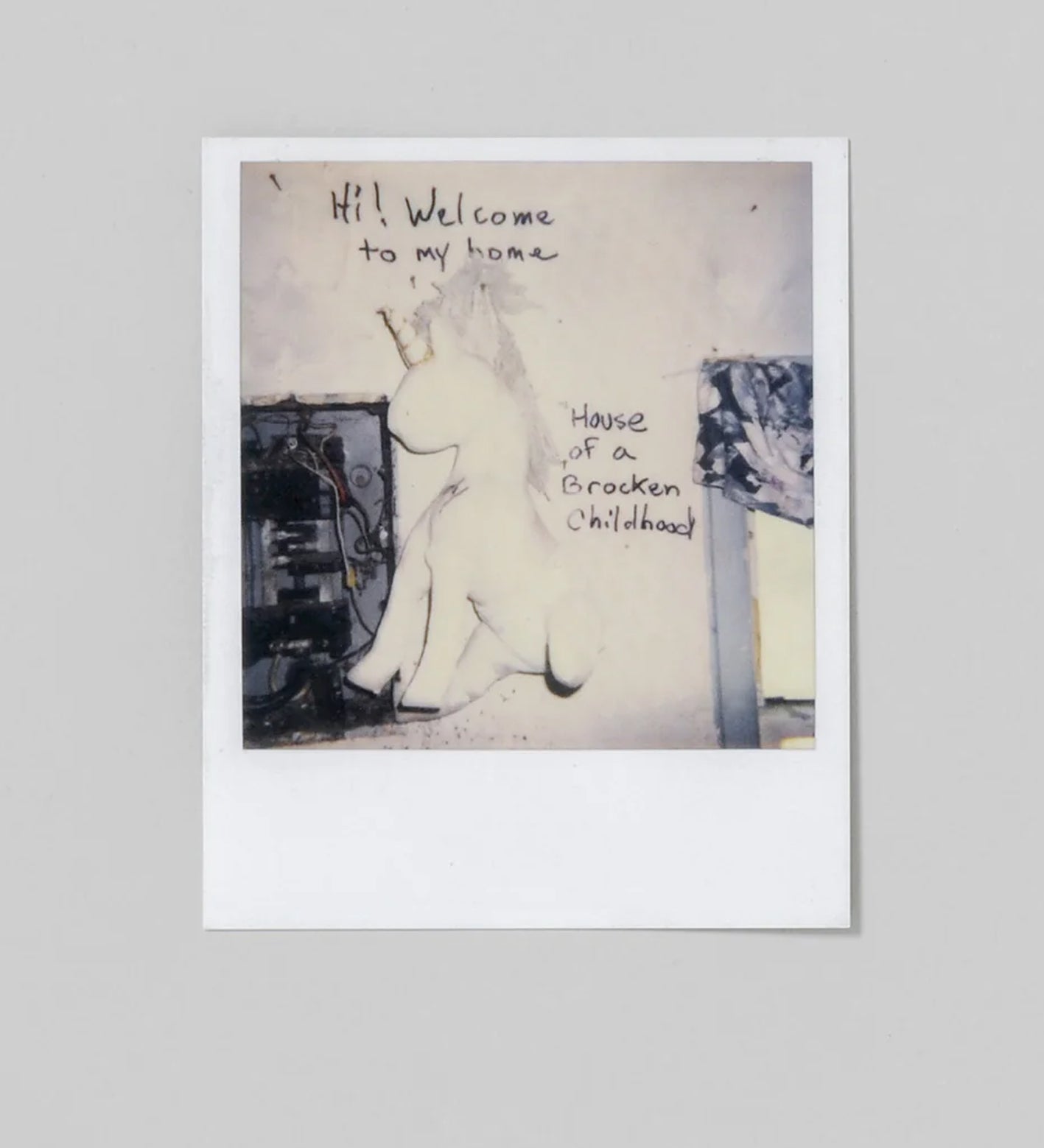 Mike Brodie: Polaroid Kid (signed)