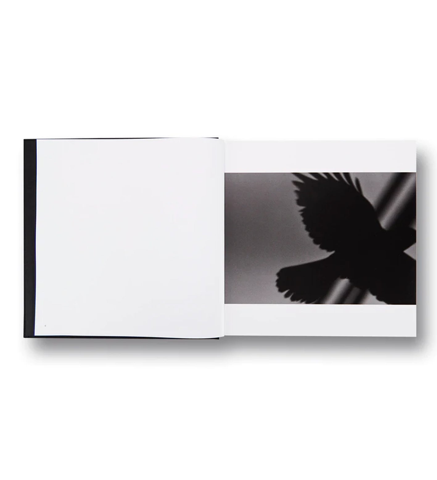 Masahisa Fukase: Ravens