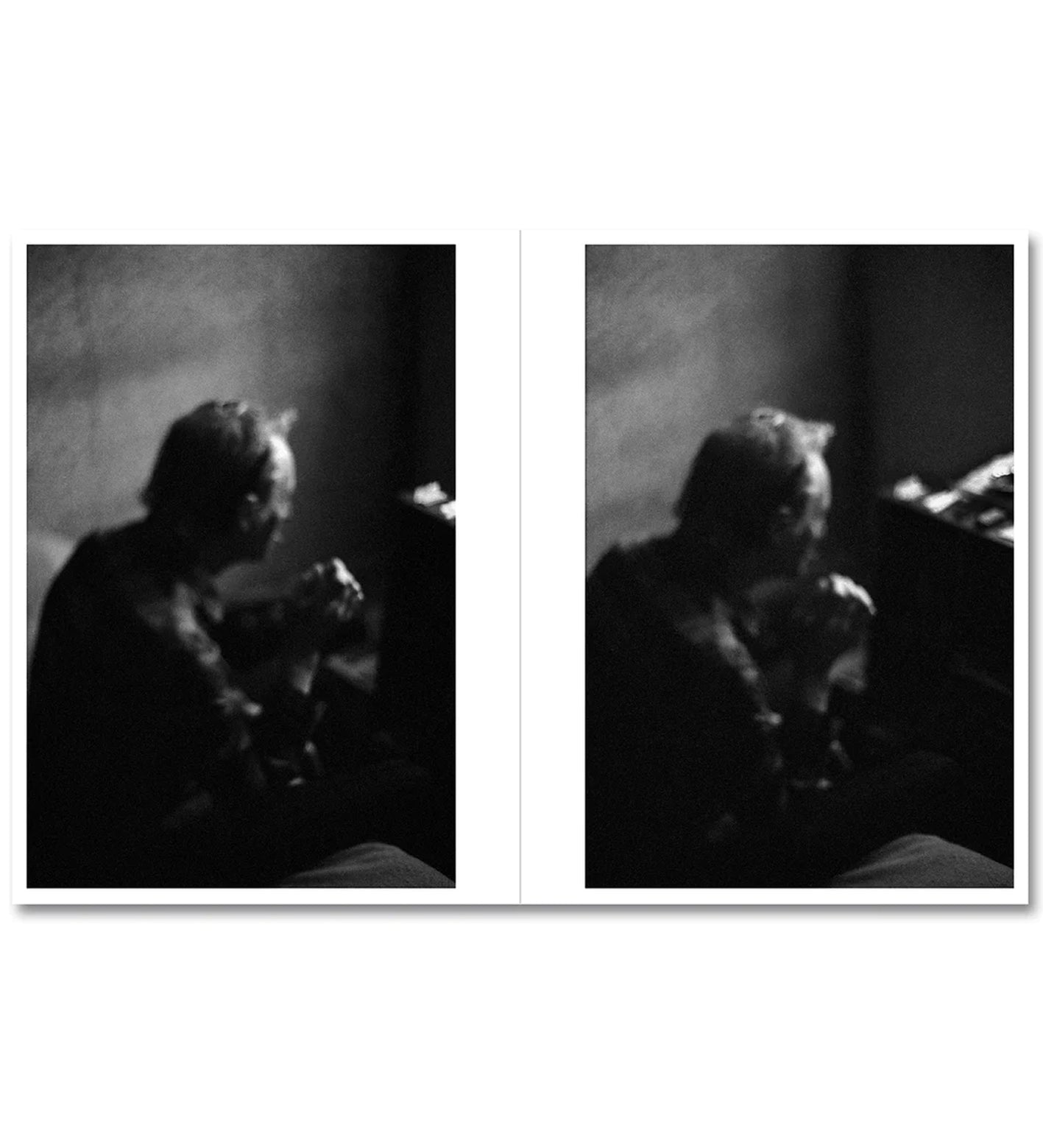 Richard Billingham: Ray's a Laugh (signed)