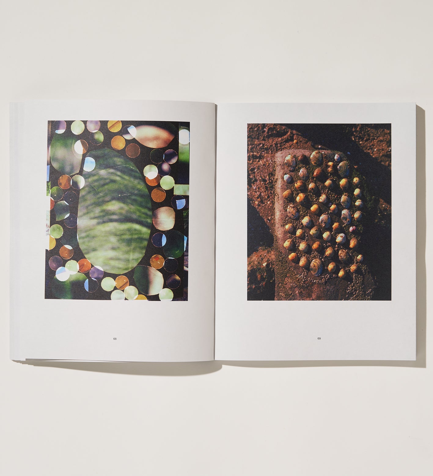 Luke & Nik: Reconstructed Nature