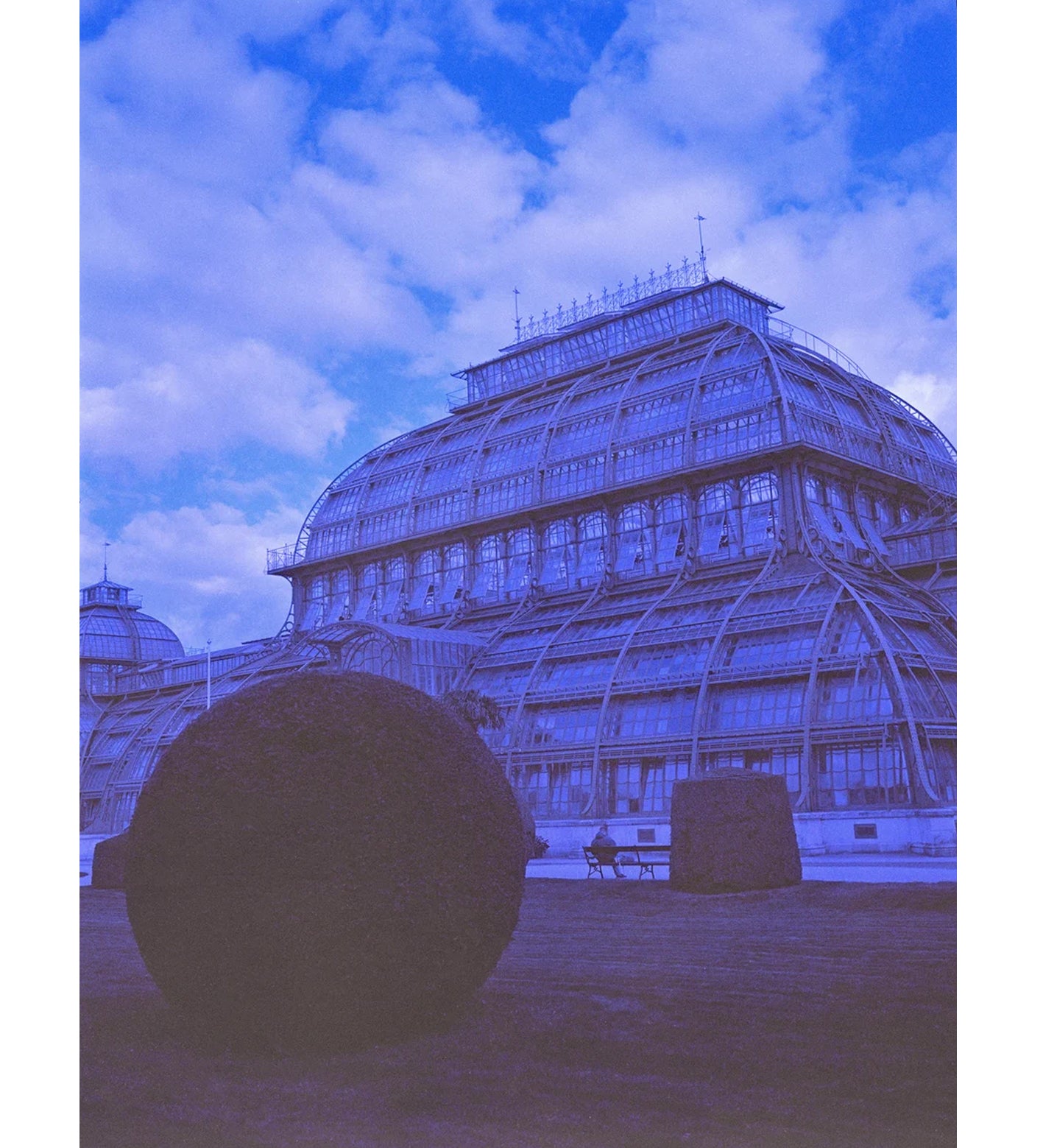 Revolog 460nm 120 Film