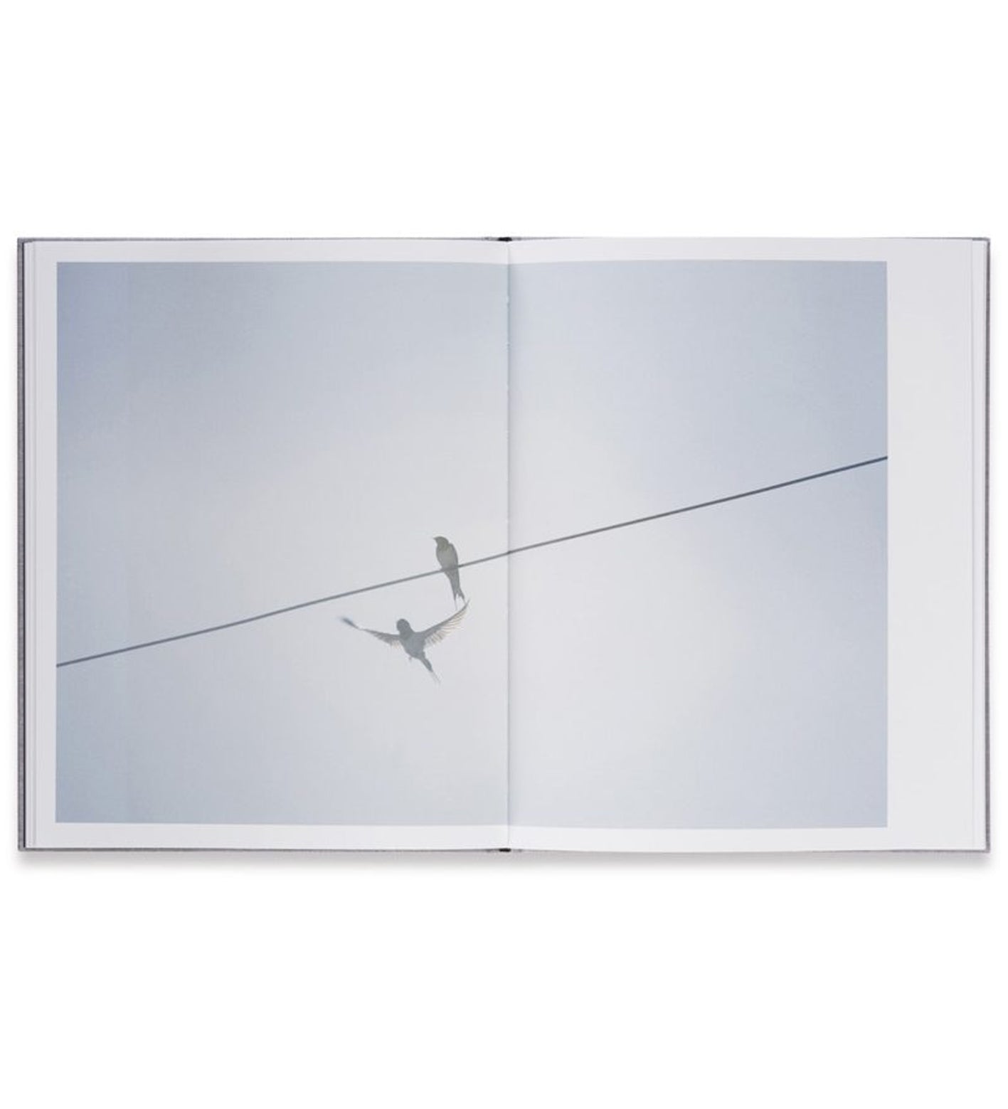Rinko Kawauchi: Des Oiseaux (Signed in-store)