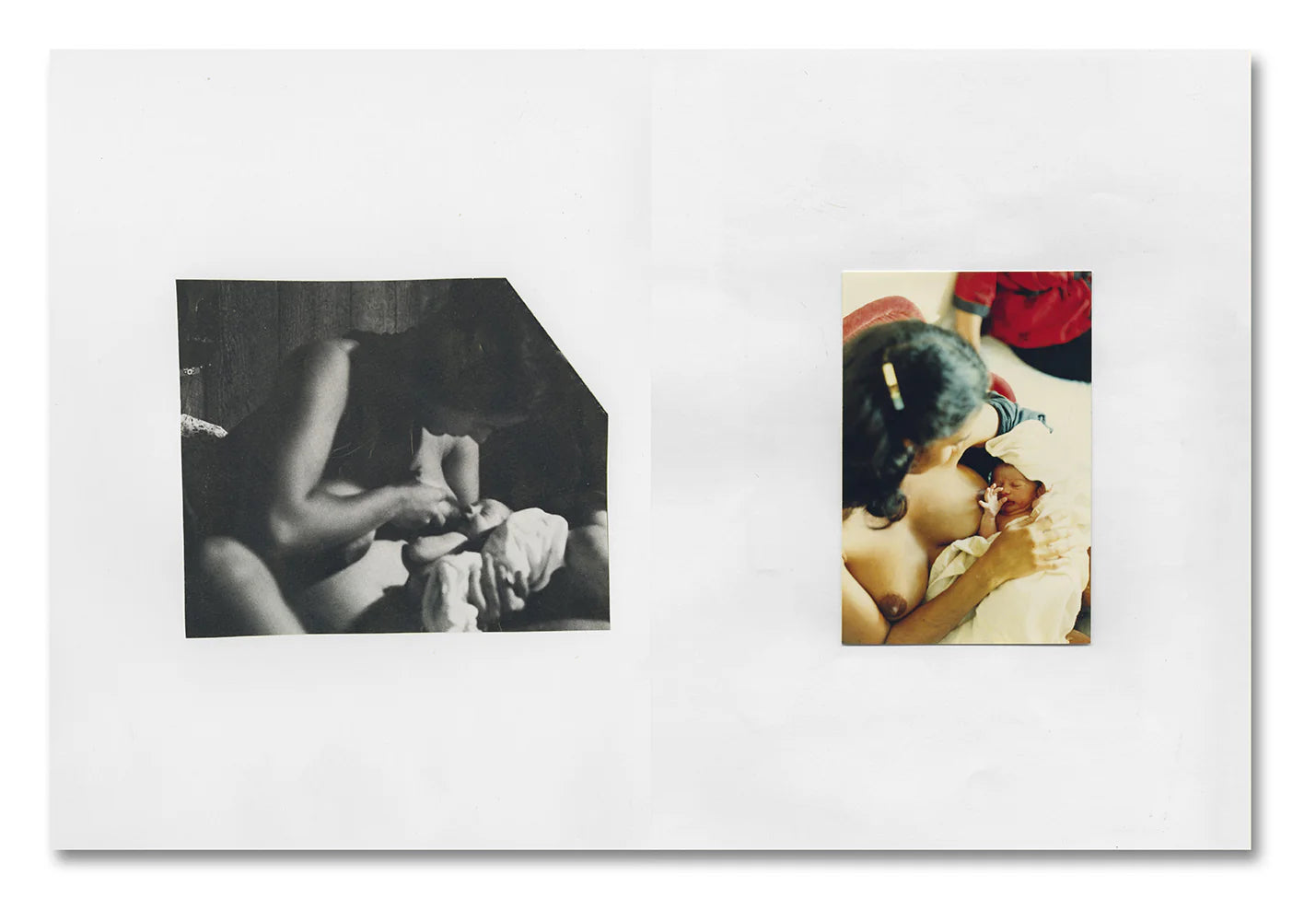 Carmen Winant: My Birth