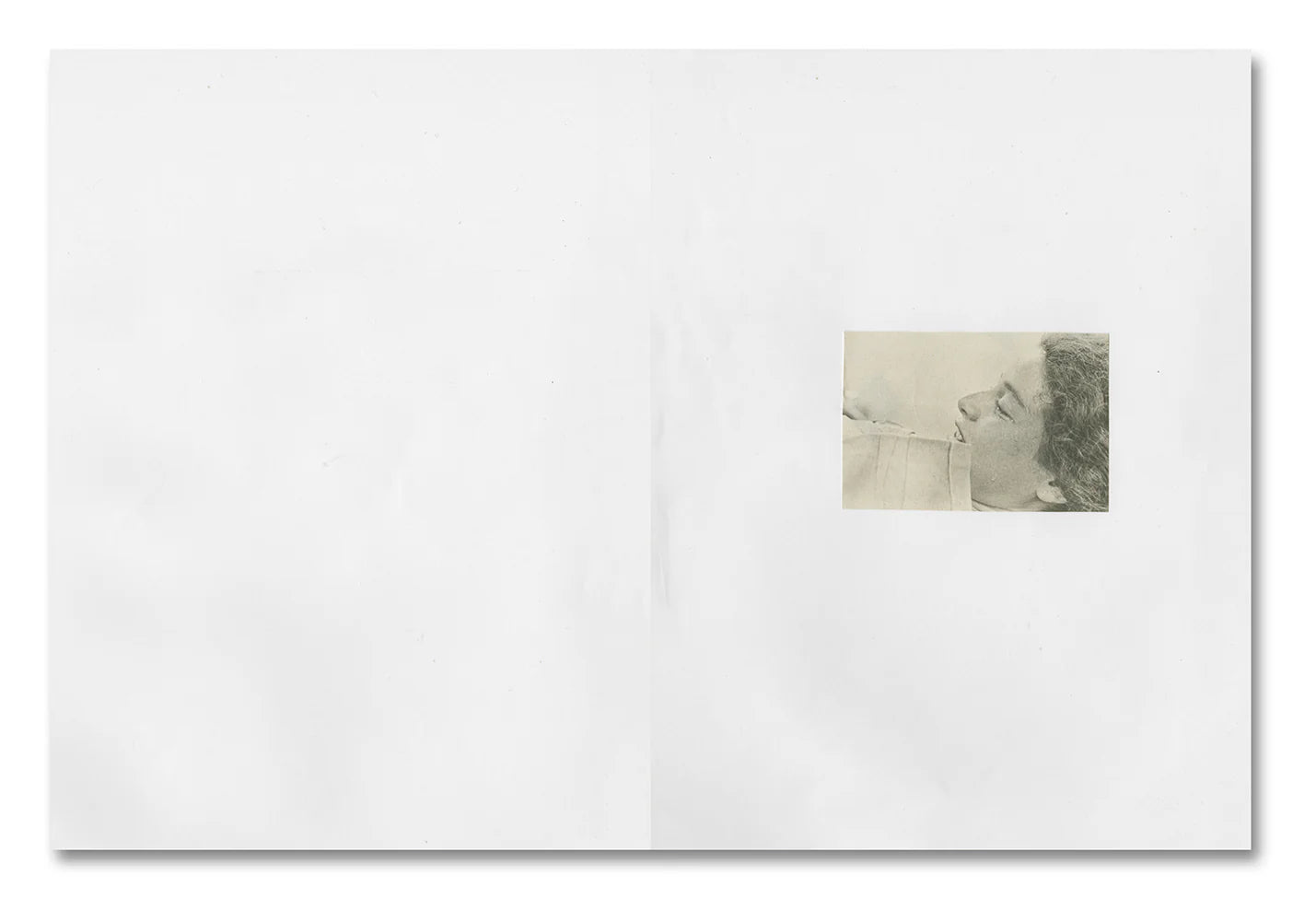 Carmen Winant: My Birth