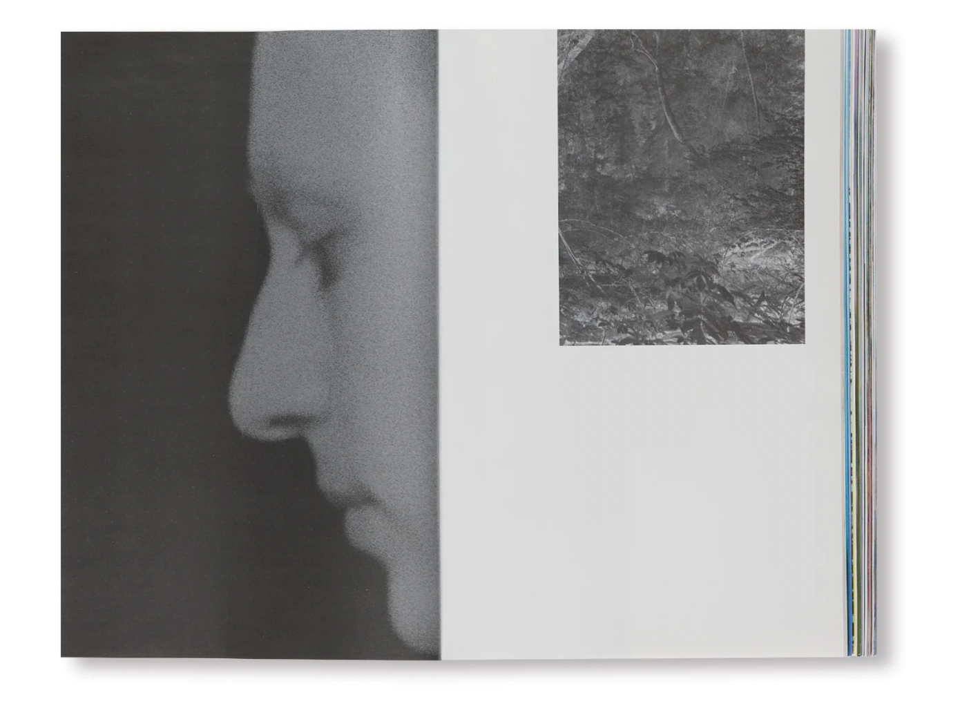 Marcelo Gomes: Pathêmes,