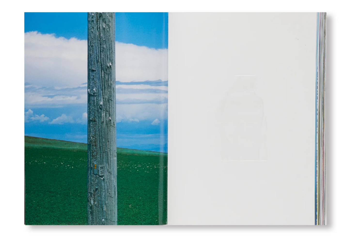 Marcelo Gomes: Pathêmes,