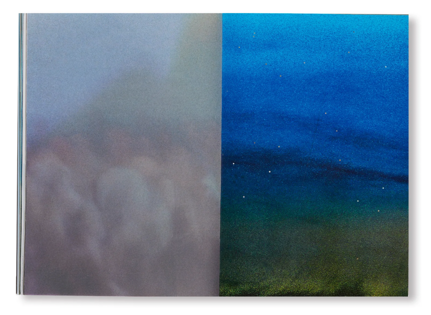 Marcelo Gomes: Pathêmes,