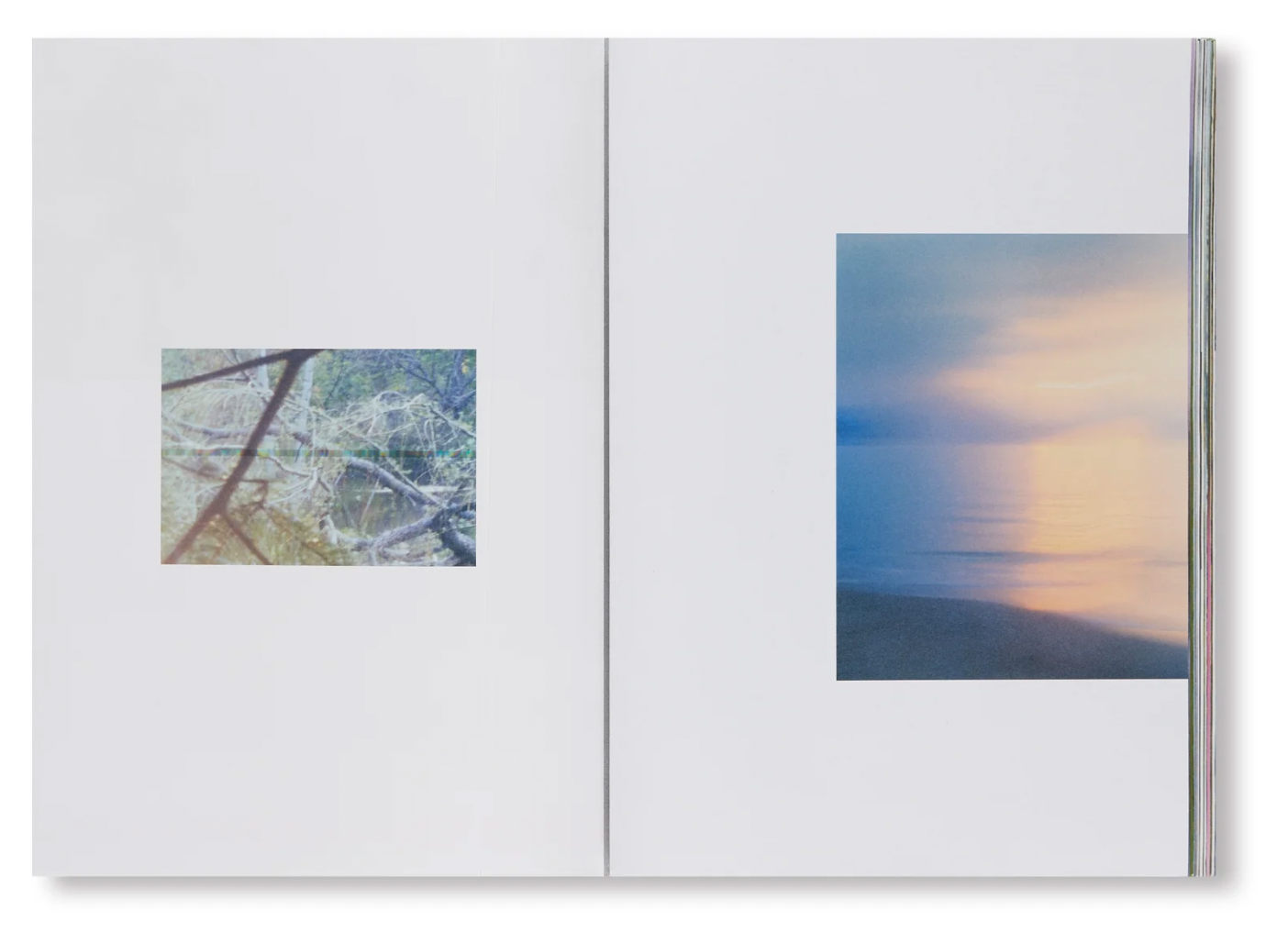 Marcelo Gomes: Pathêmes,