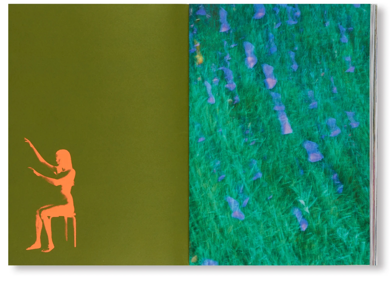 Marcelo Gomes: Pathêmes,