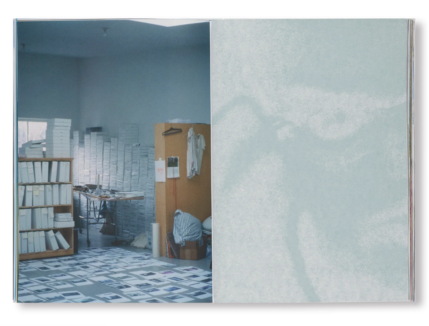 Marcelo Gomes: Pathêmes,