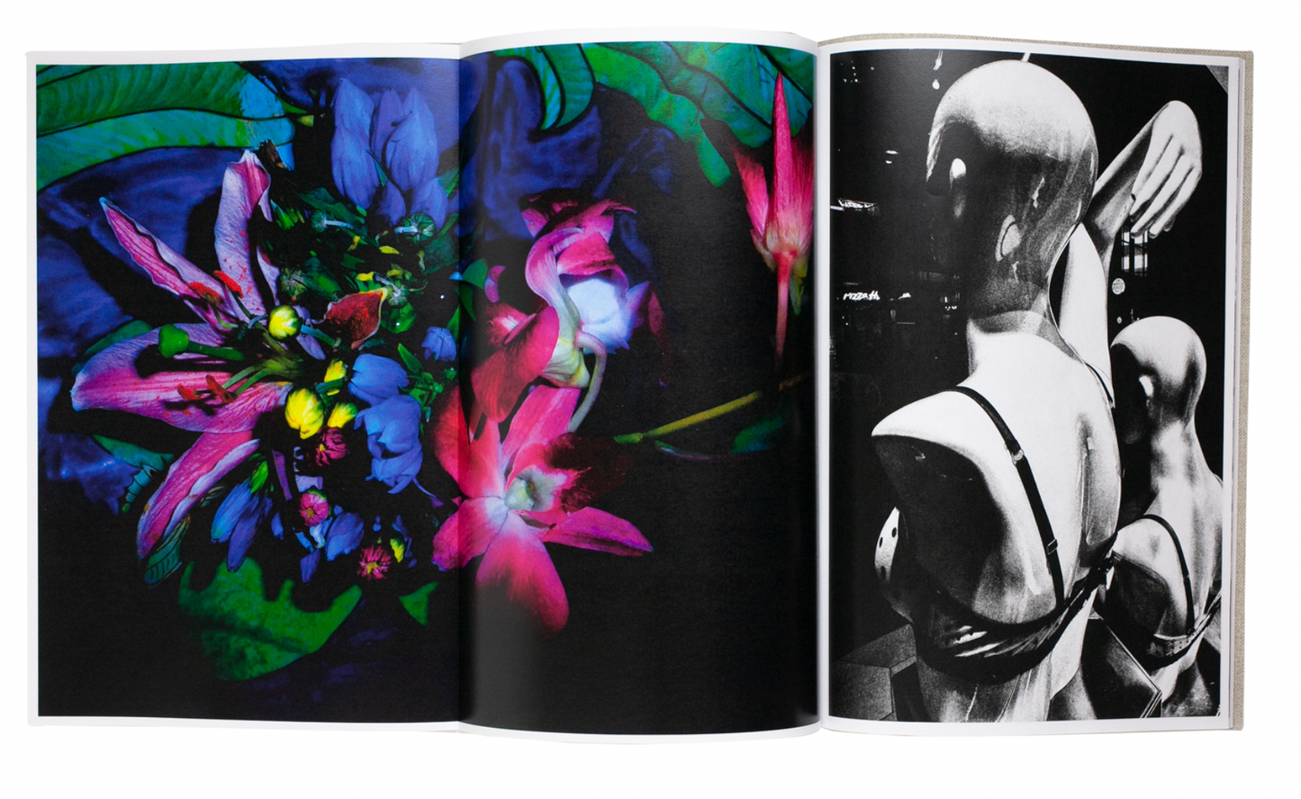 Daido Moriyama: Paris Plus (signed)