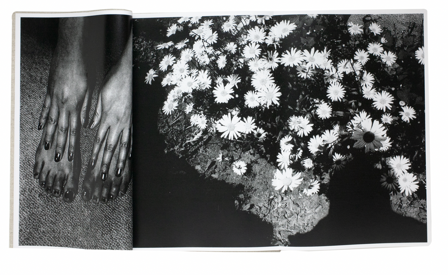 Daido Moriyama: Shinobu (Signed)