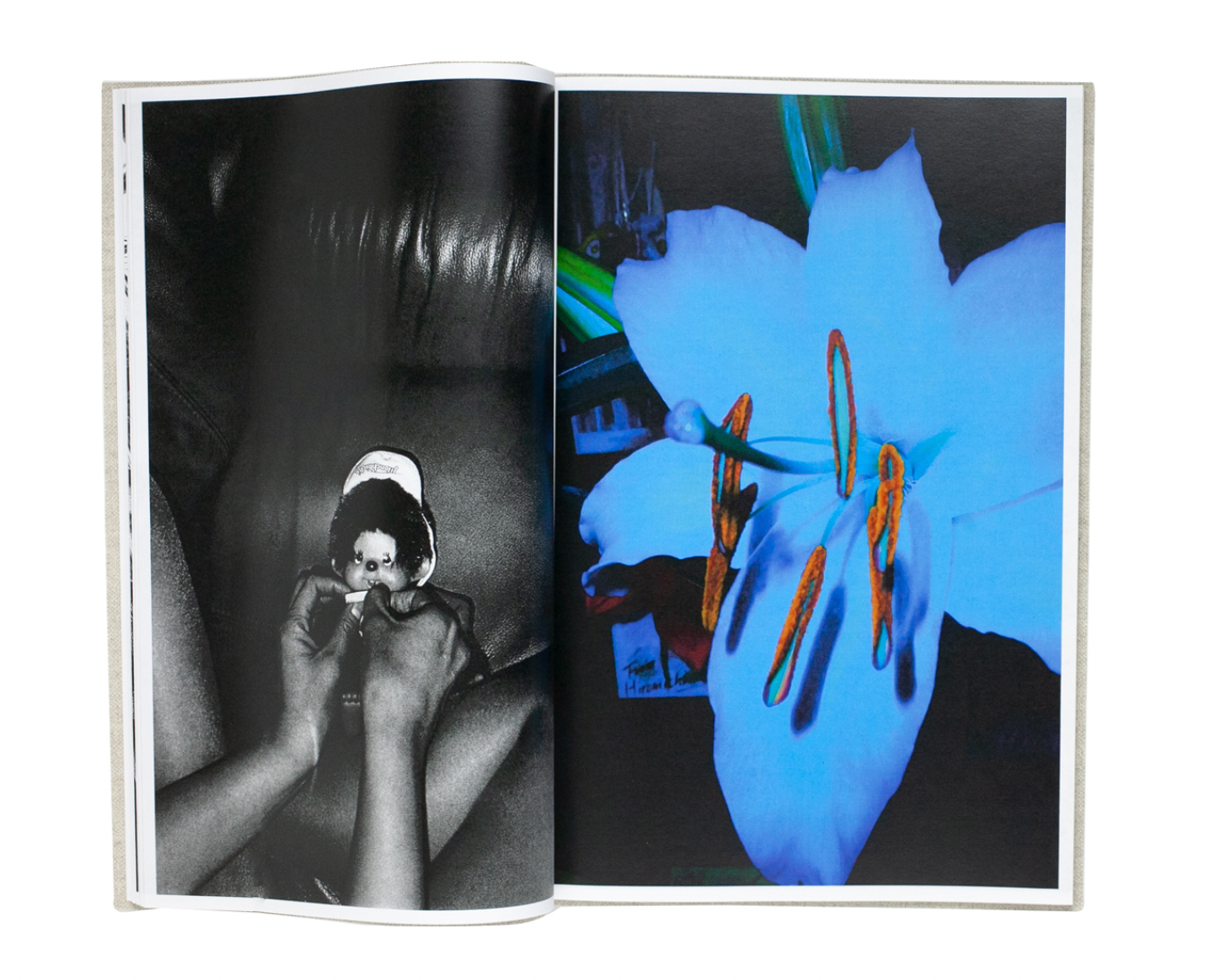Daido Moriyama: Shinobu (Signed)