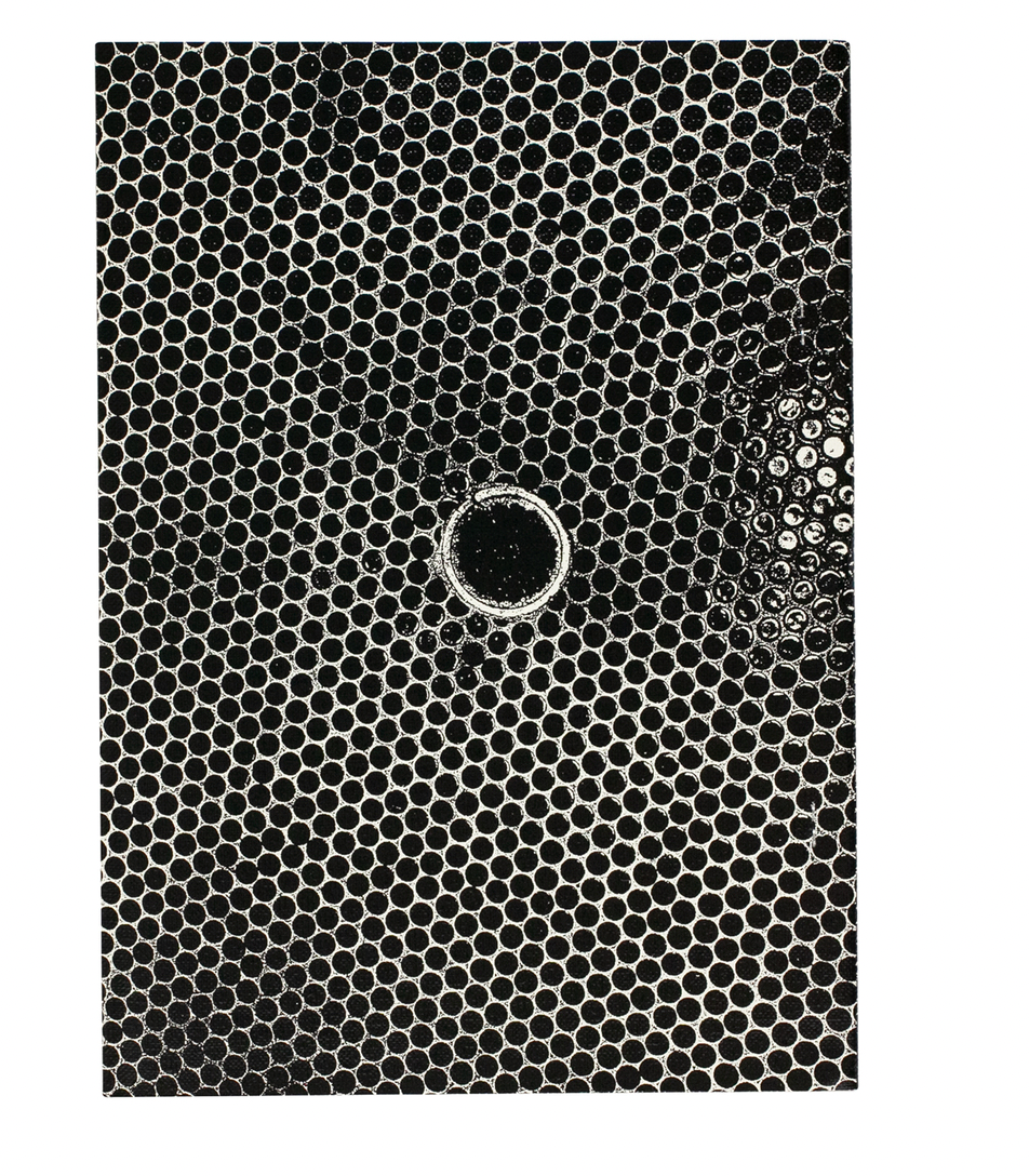 Daido Moriyama: Tiles in Aizuwakamatsu (signed)