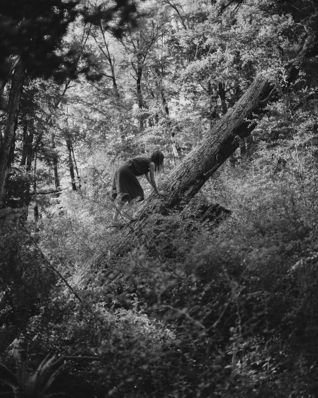 PRONOIA: HENRY O'HEAD