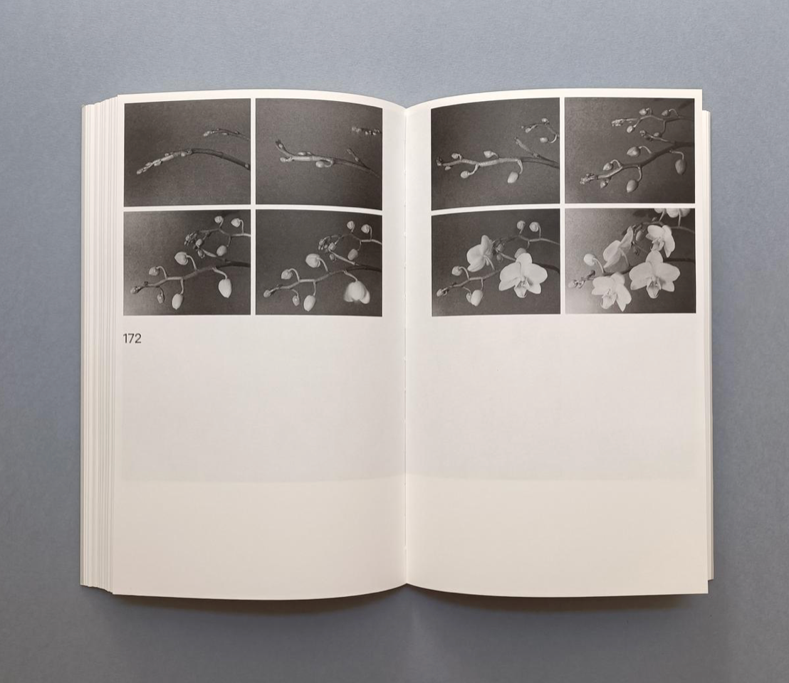 Fabio Barile: Works for a Cosmic Feeling