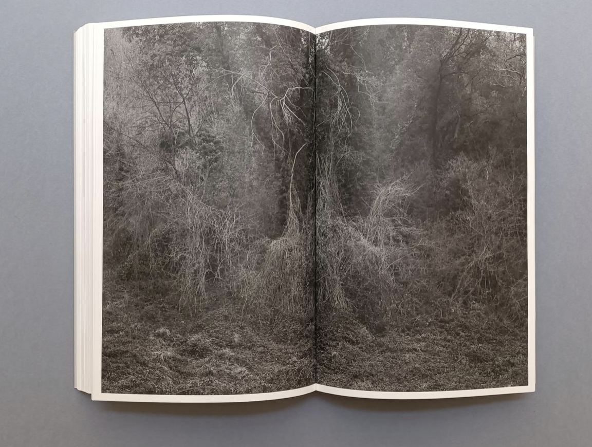 Fabio Barile: Works for a Cosmic Feeling