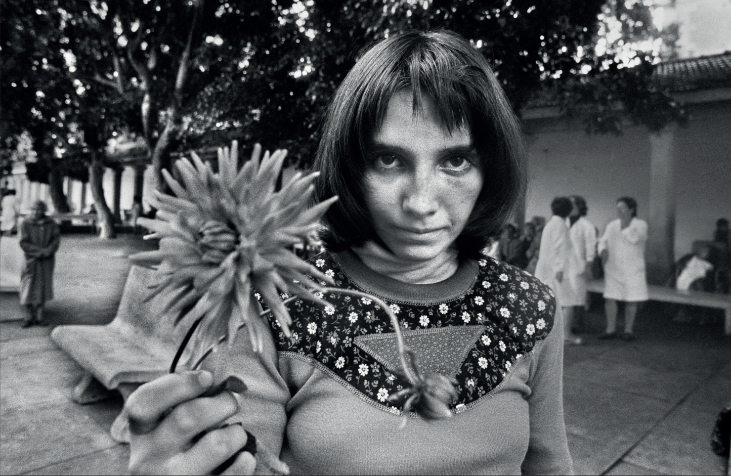 Letizia Battaglia, Life, Love and Death in Sicily