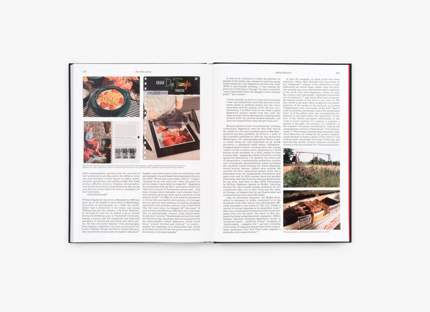 William Eggleston: The Last Dyes